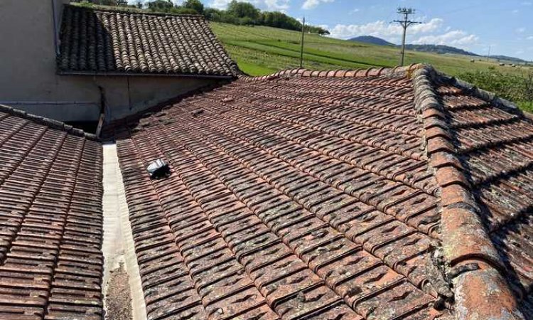 Réfection de toiture à Lacenas
